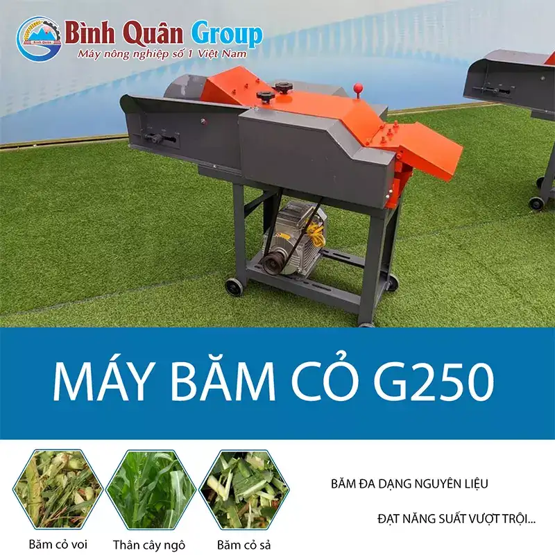 May-bam-co-G250-1_result222