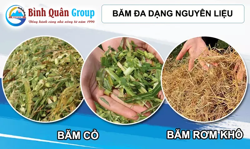 bam-co_result