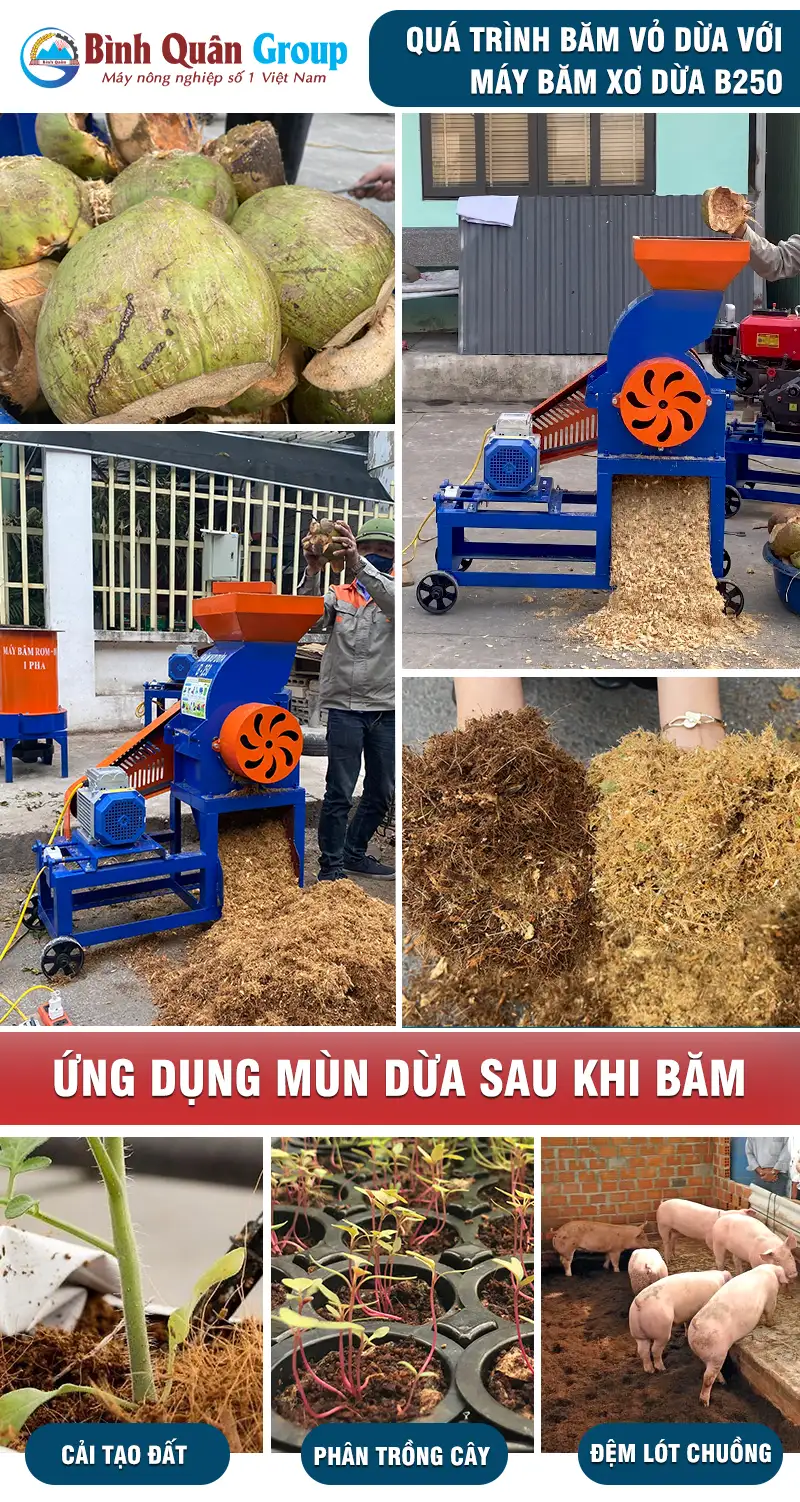 cach-su-dung-may-bam-xo-dua-b250_result222