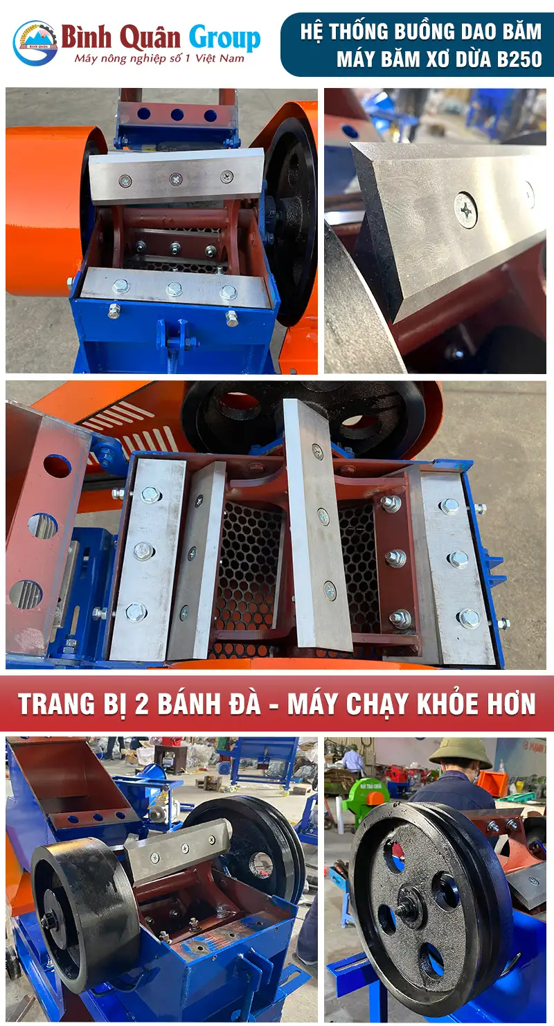 dao-bam-xo-dua copy_result222