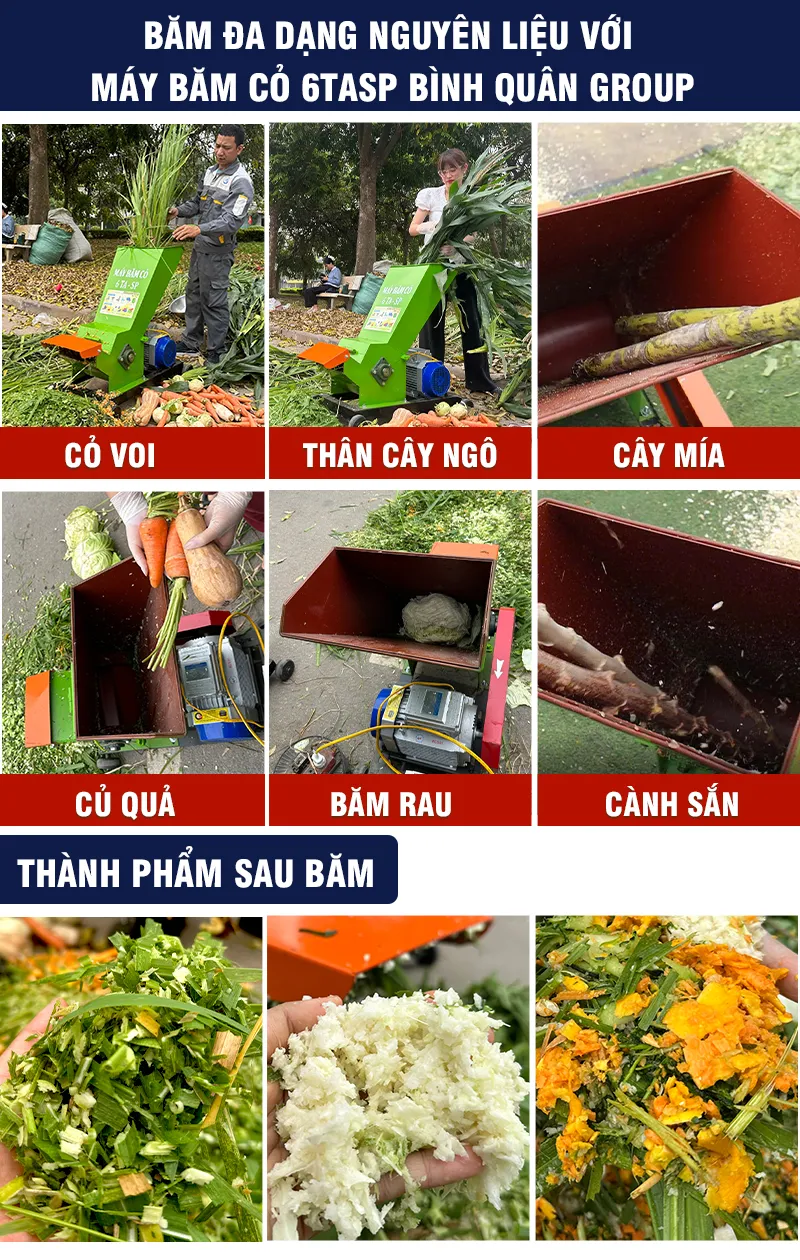may-bam-co-da-nang-1-pha_result