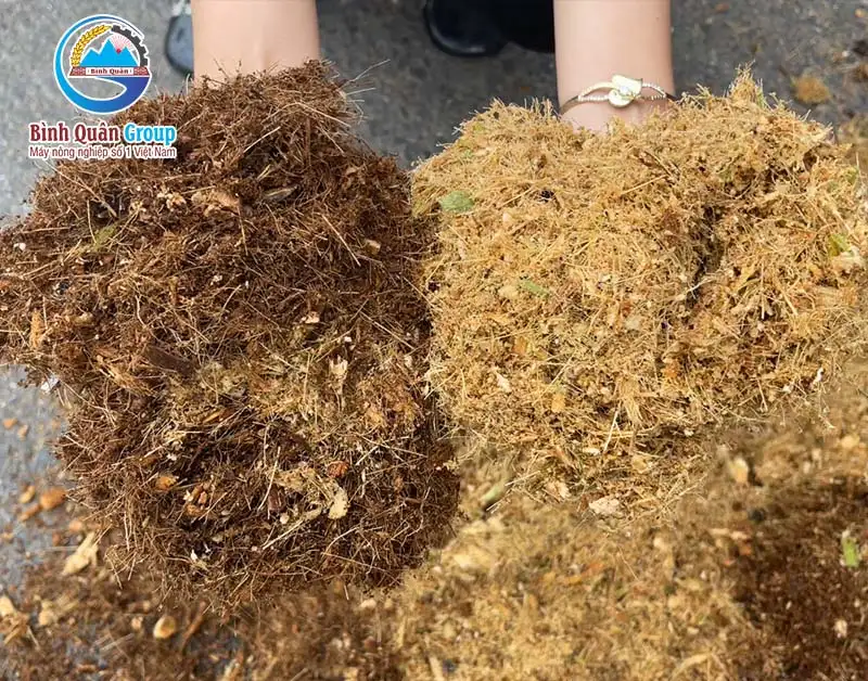 mun-dua-trong-cay_result222