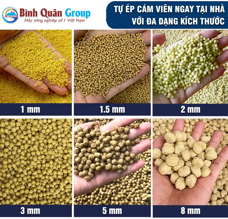cam-vien-noi-cho-ca-copy_result222