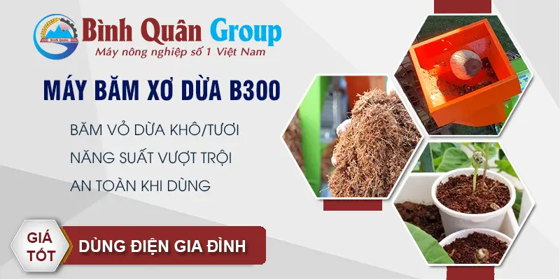 may-bam-xo-dau-b300-binhquangroup_result222