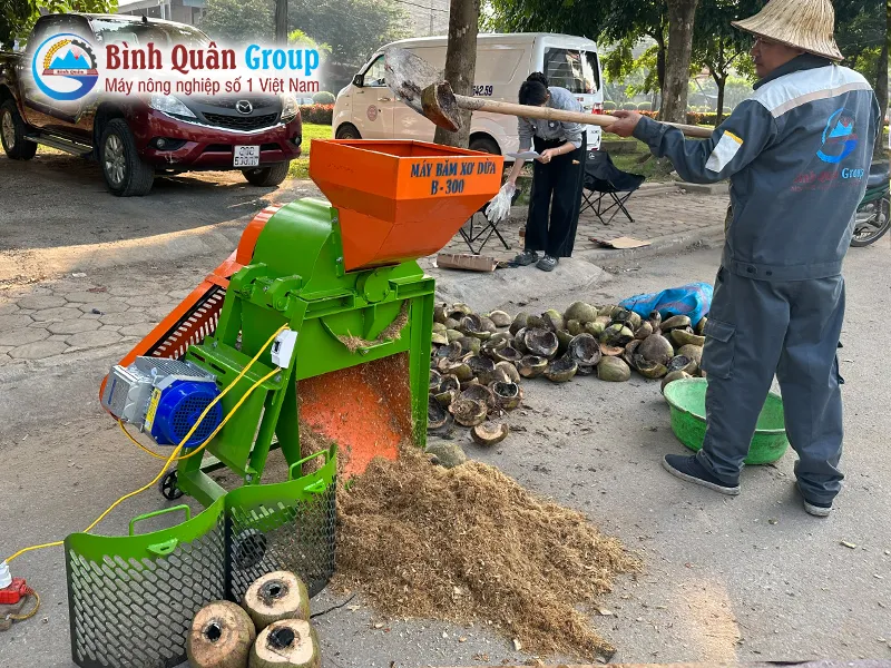may-bam-xo-dua-b300-binh-quan-group_result