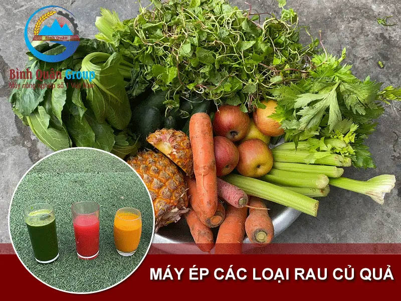 may-ep-rau-cu-qua_result222