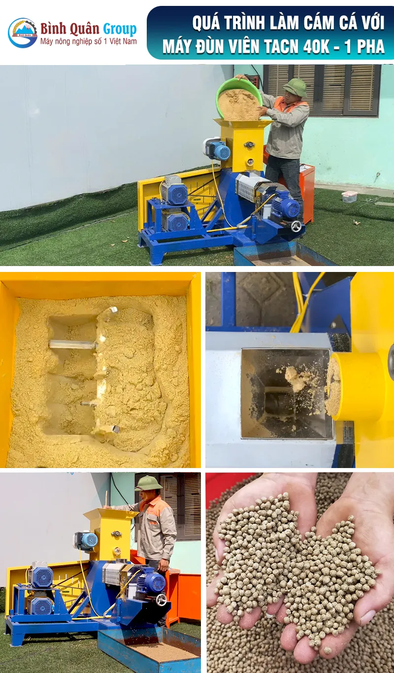 may-lam-cam-vien-noi-cho-ca_result