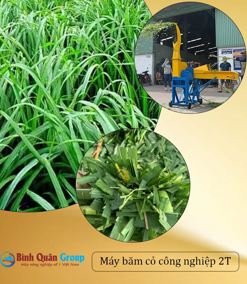 Thumbnail-may_result