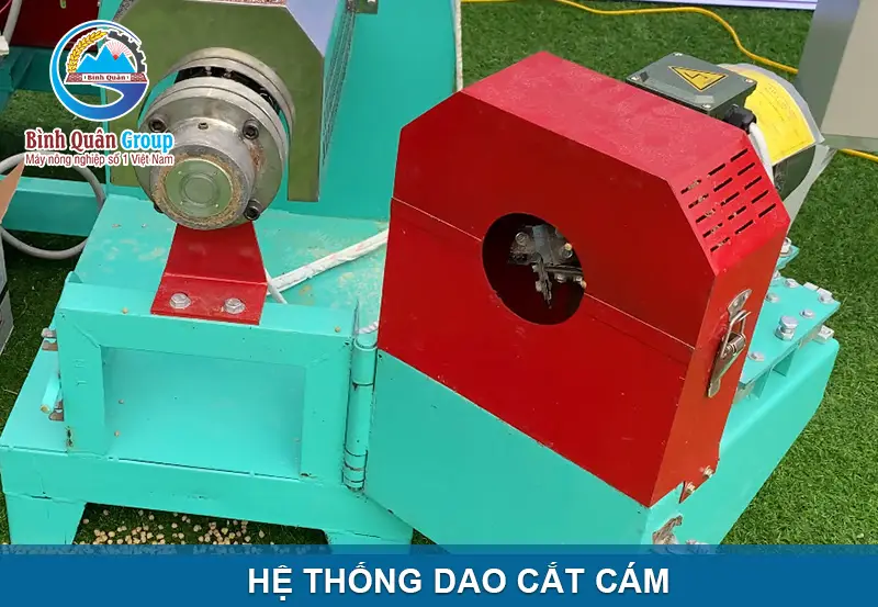 dao-cat-cam_result222