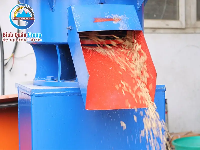 dao-cat-cam_result222