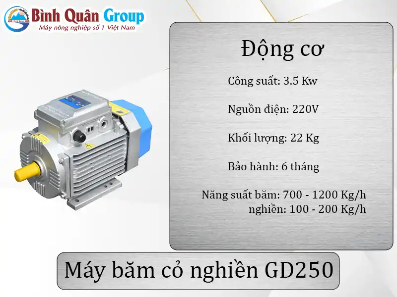dong-co-G250
