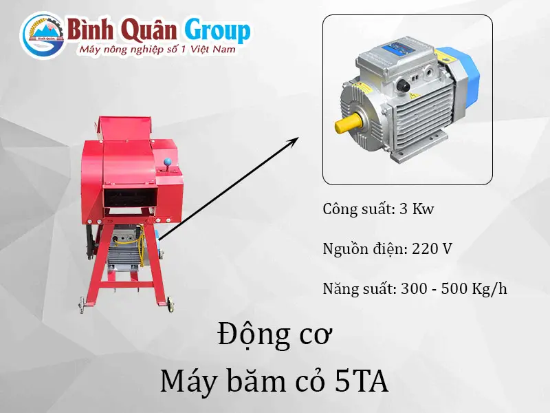 dong-co-may-bam-co-5TA_result