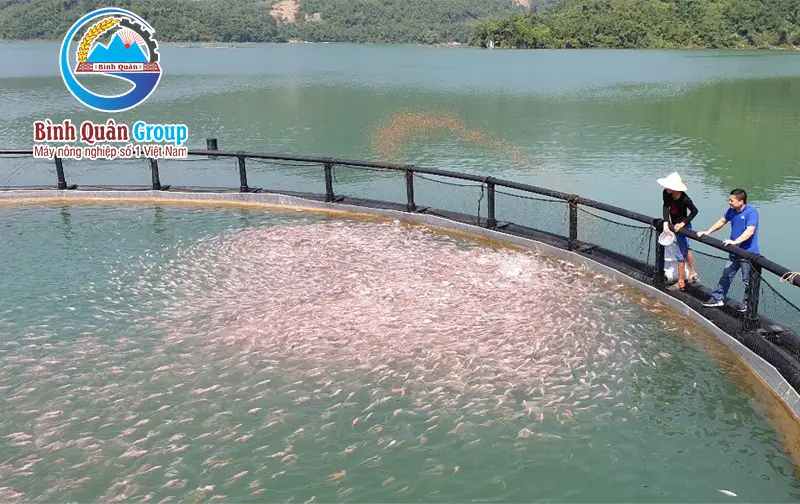 lam-cam-vien-noi-cho-ca_result222