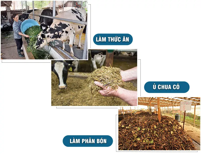 loi-ich-may-bam-co_result222