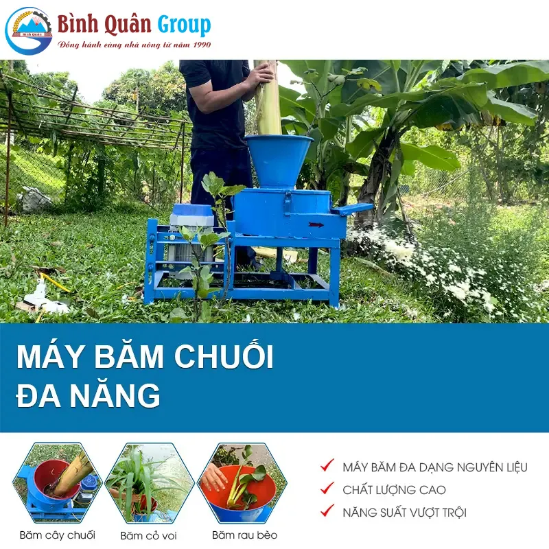 may-bam-cay-chuoi-da-nang_result