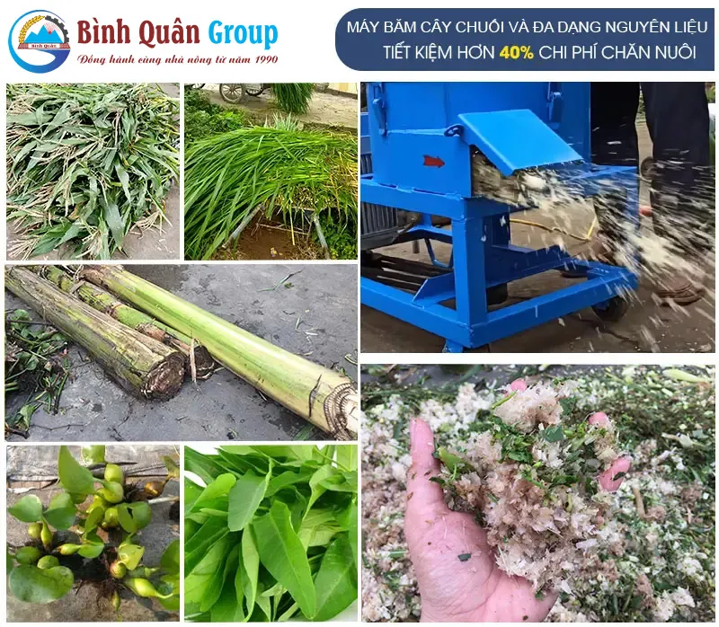may-bam-chuoi-1-pha-gia-dinh_result