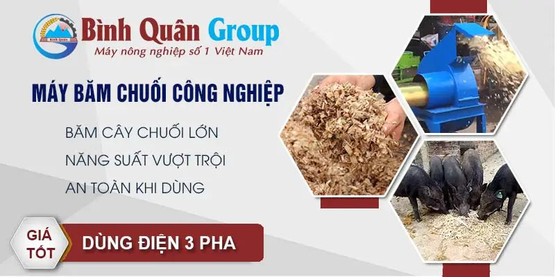 may-bam-chuoi-cong-nghiep-binh-quan-group_result222