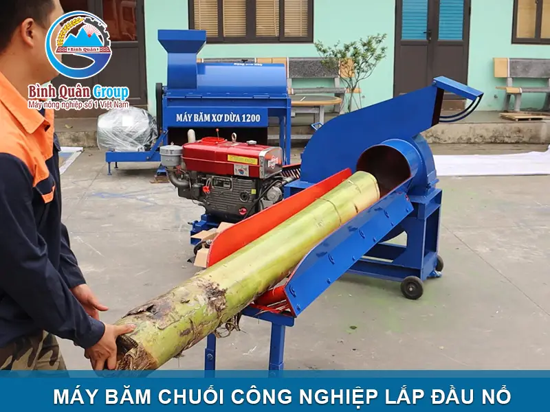 may-bam-chuoi-lap-dau-no_result222