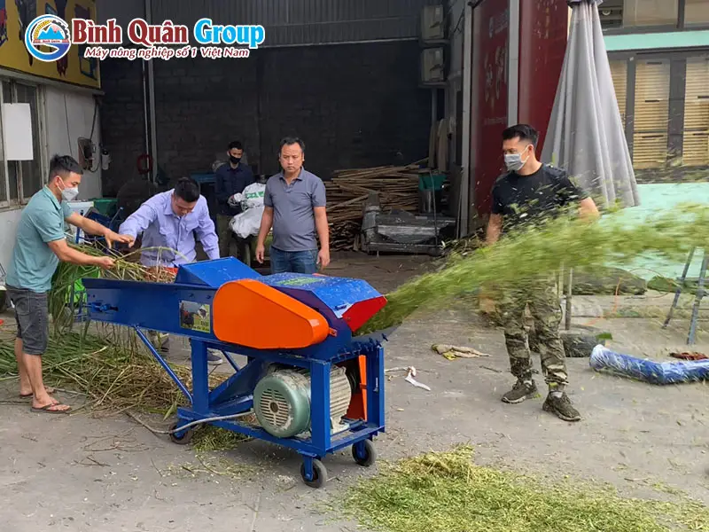 may-bam-co-cho-bo_result222