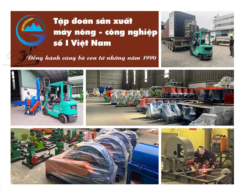 may-bam-go-manh-5t-binh-quan-group