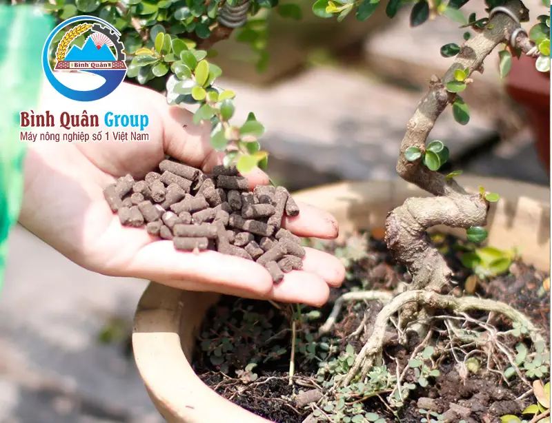 may-ep-vien-phan_result222