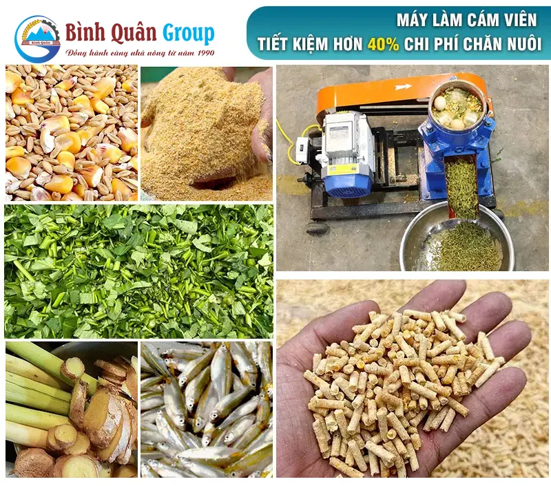 may-lam-cam-vien-cho-ga_result