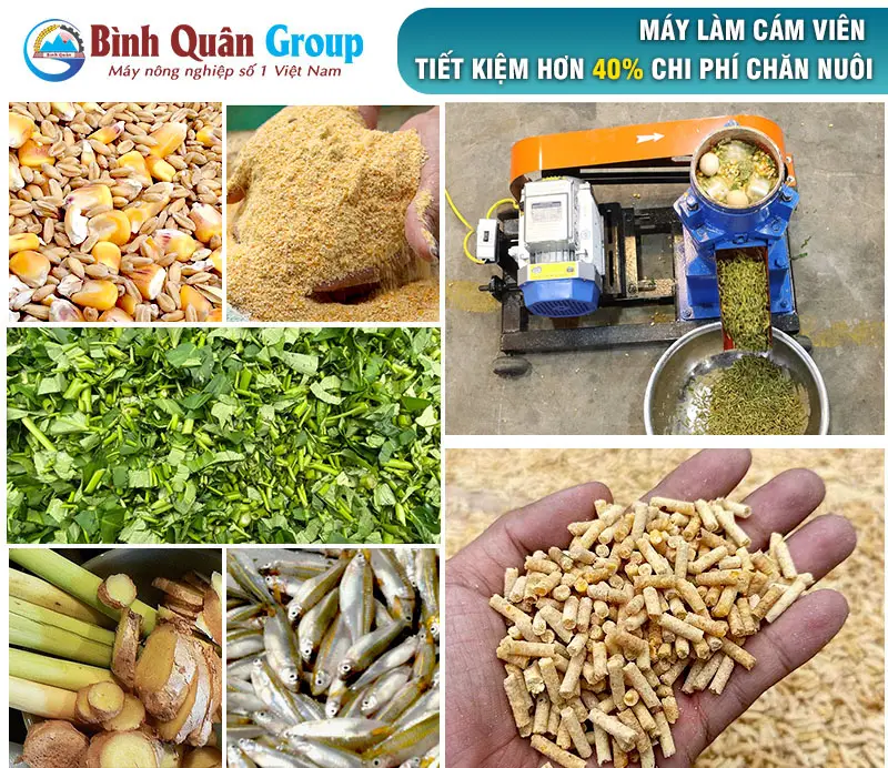 may-lam-cam-vien_result222