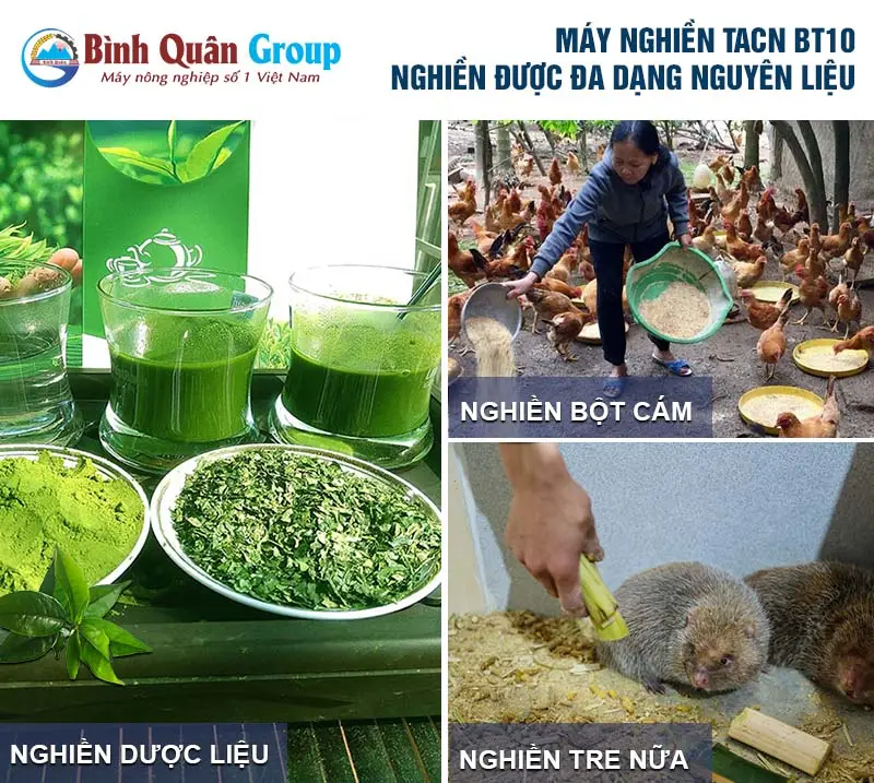 may-nghien-ngo_result222