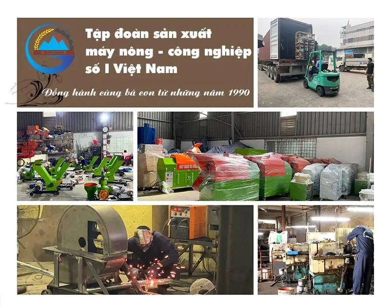 may-rang-da-nang-r15-binh-quan-group