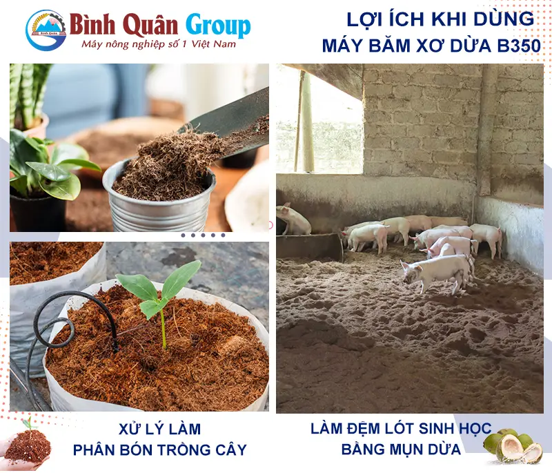 mun-dua-lam-dem-lot-sinh-hoc_result222