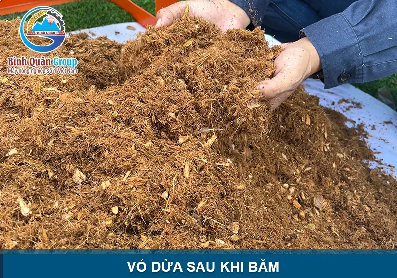 mun-dua-trong-cay_result222