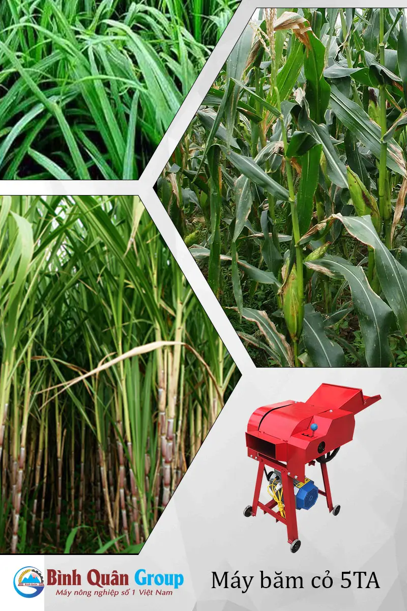 nguyen-lieu-dau-vao-may-bam-co_result