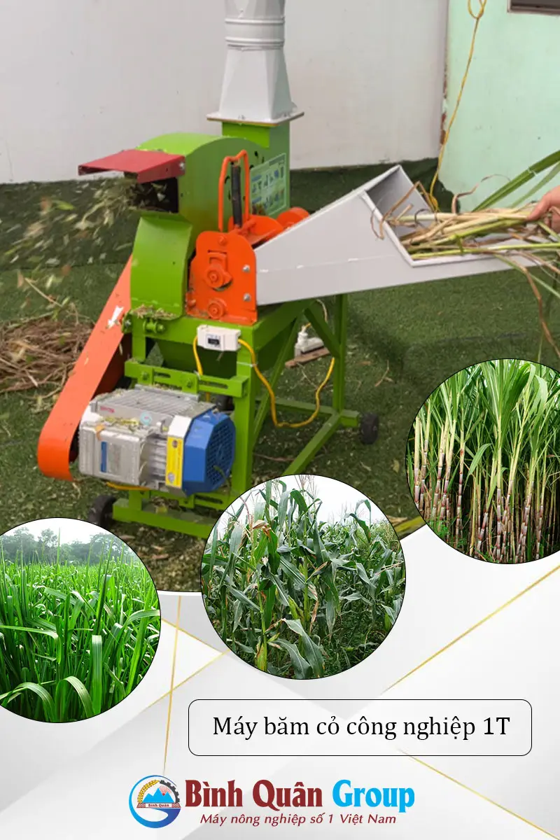 nguyen-lieu-dau-vao_result