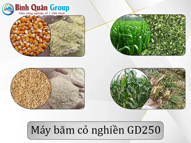 nguyen-lieu-va-thanh-pham