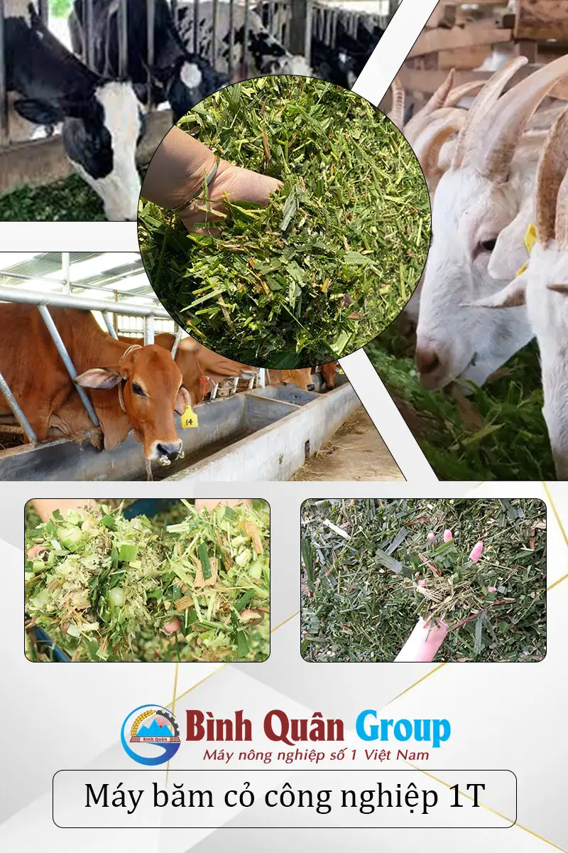 thanh-pham-may-bam-co-cong-nghiep-1T_result