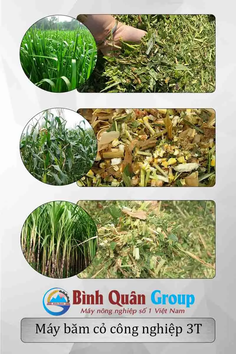 thanh-pham-may-bam-co_result