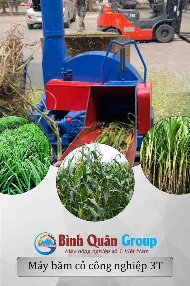 thumbnail-may-bam-co-3T_result