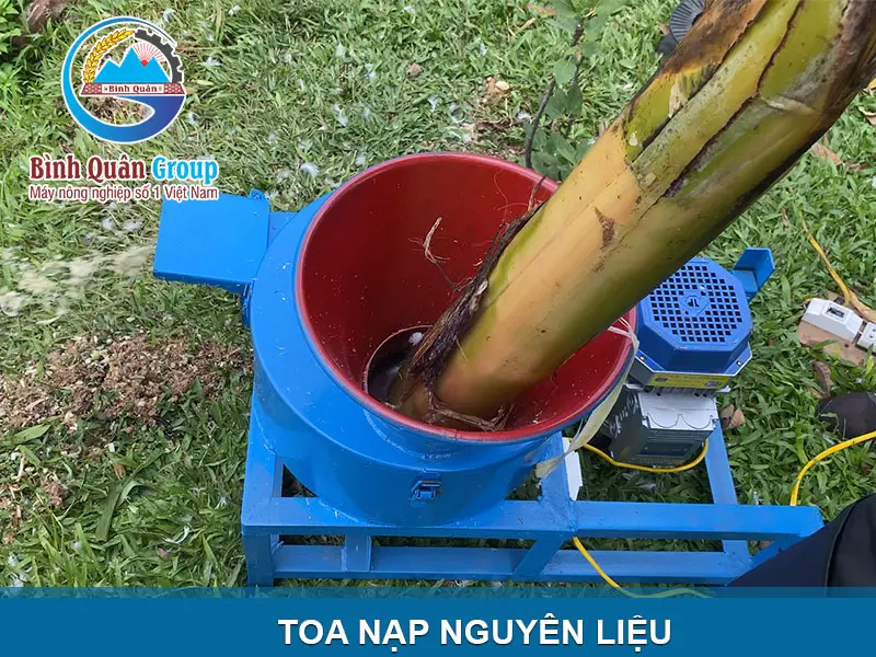 toa-nap-may-bam-chuoi_result222
