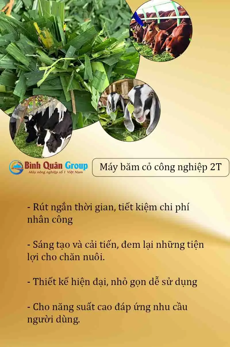 uu-diem-may-bam-co-cong-nghiep_result