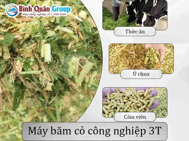 uu-diem-may-bam-co_result