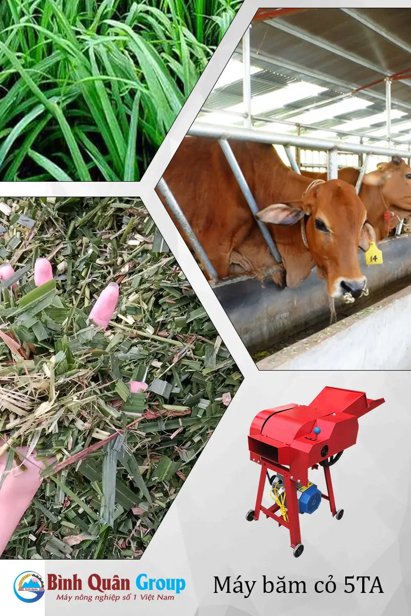 uu-diem-may-bam-co_result