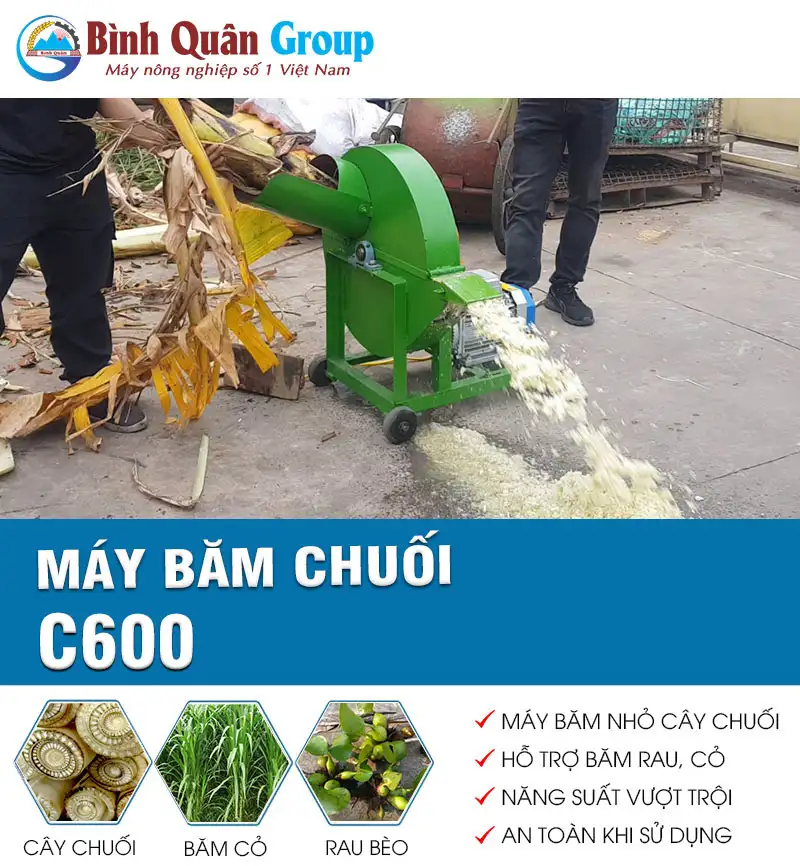 may-bam-chuoi-c600-binh-quan-group_result222