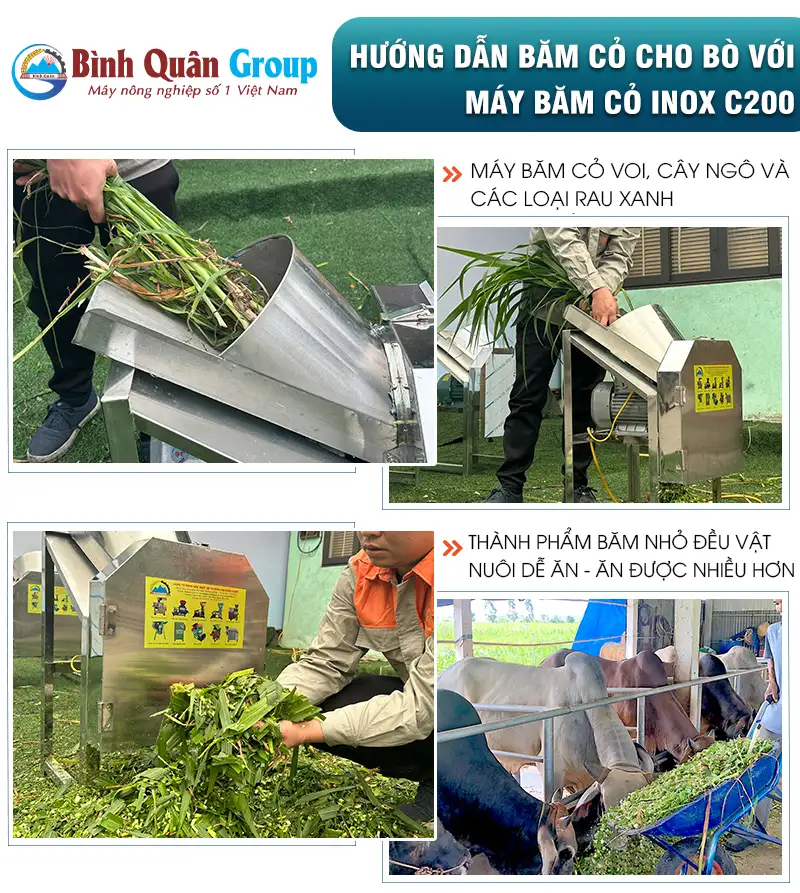 may-bam-co-cho-bo_result222