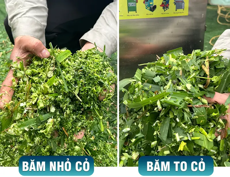 may-bam-co-cho-bo_result222