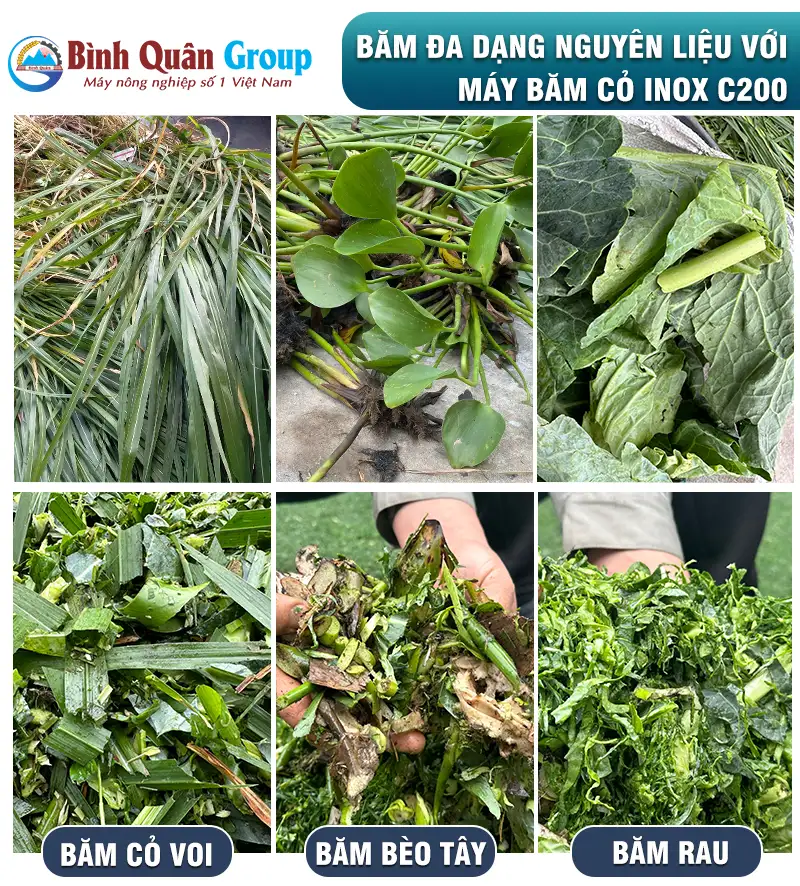 may-bam-co-voi copy_result222