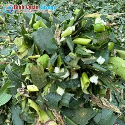 bam-co-cho-bo_result222