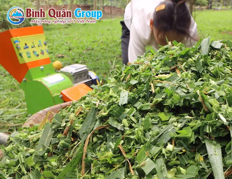 may-bam-co-voi_result222