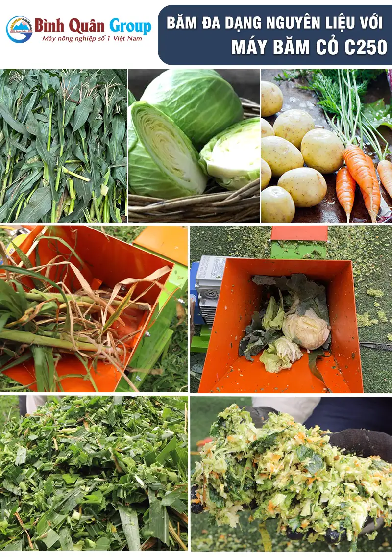 may-bam-rau-cu-qua_result222