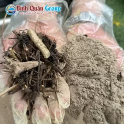 nghien-bot-nhan-tran_result222