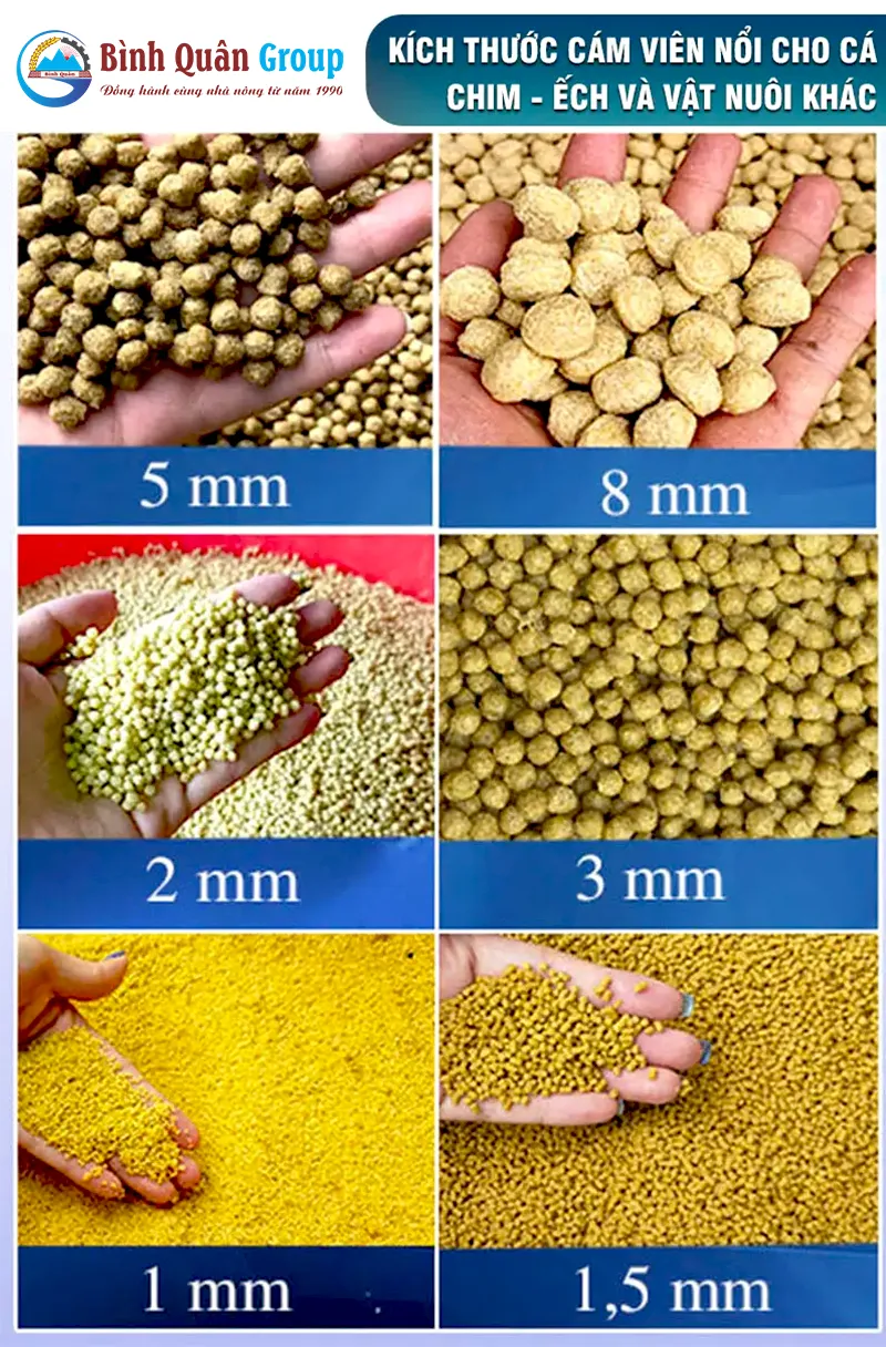 cam-vien-noi-cho-ca_result